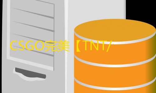 CSGO完美【TNT/标签透视/仅支持完美平台】辅助